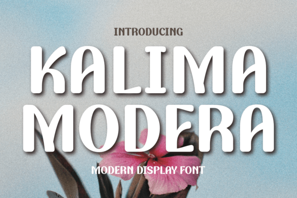 Kalima Modera: A Display Font with Quiet Authority