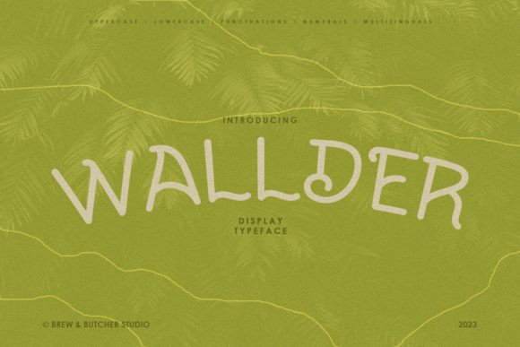 Wallder: A Display Font That Lifts Your Digital Brand